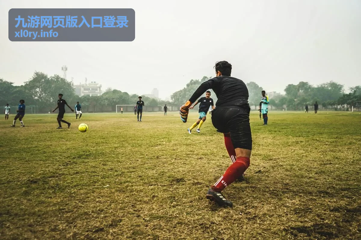 九游网页版入口登录在手机浏览器上的账号输入界面示意