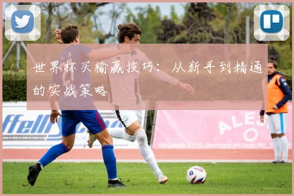 世界杯买输赢技巧：从新手到精通的实战策略