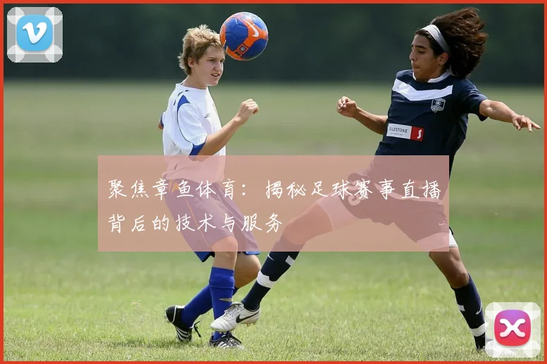 聚焦章鱼体育:揭秘足球赛事直播背后的技术与服务