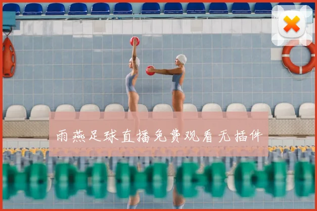雨燕足球直播免费观看无插件