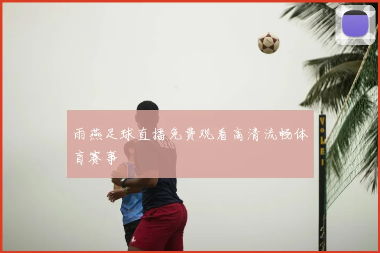 雨燕足球直播免费观看高清流畅体育赛事