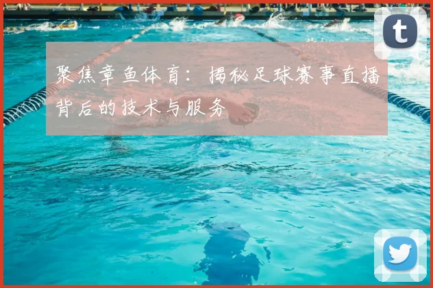 聚焦章鱼体育：揭秘足球赛事直播背后的技术与服务