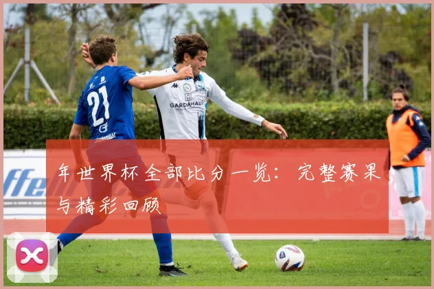 年世界杯全部比分一览：完整赛果与精彩回顾