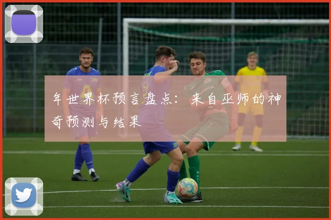 年世界杯预言盘点:来自巫师的神奇预测与结果