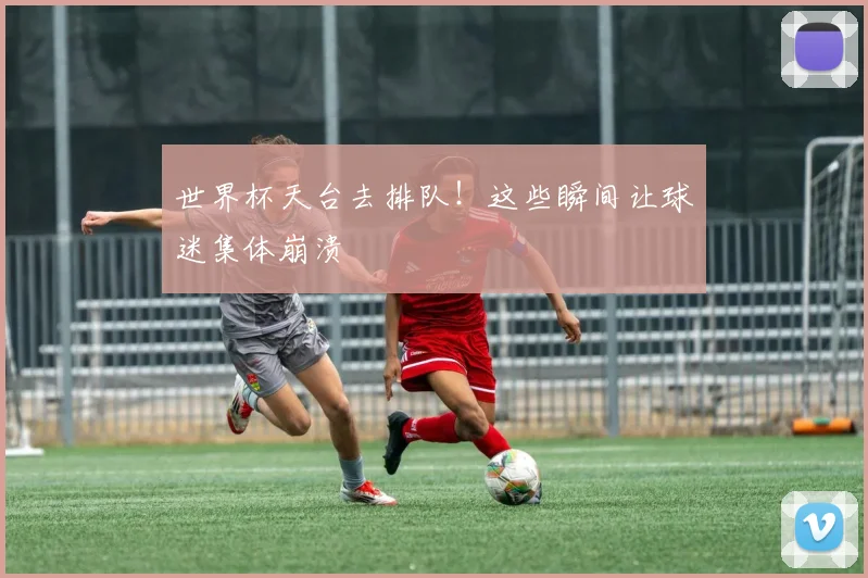 世界杯天台去排队！这些瞬间让球迷集体崩溃