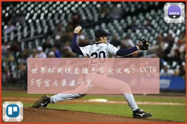 世界杯央视直播平台全攻略：CCTV5等官方渠道一览