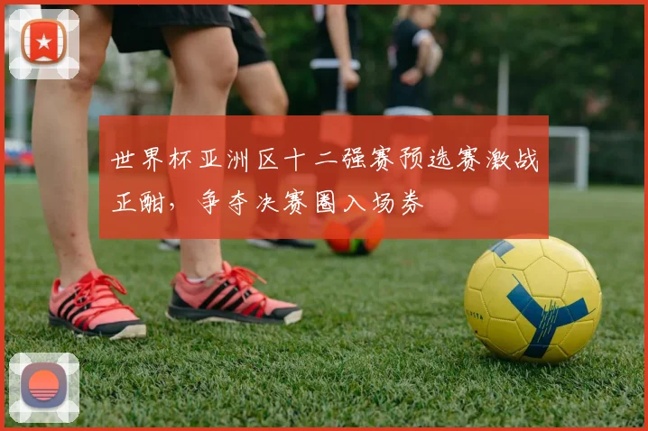 世界杯亚洲区十二强赛预选赛激战正酣，争夺决赛圈入场券