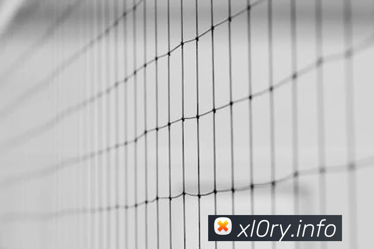 App Interface Preview