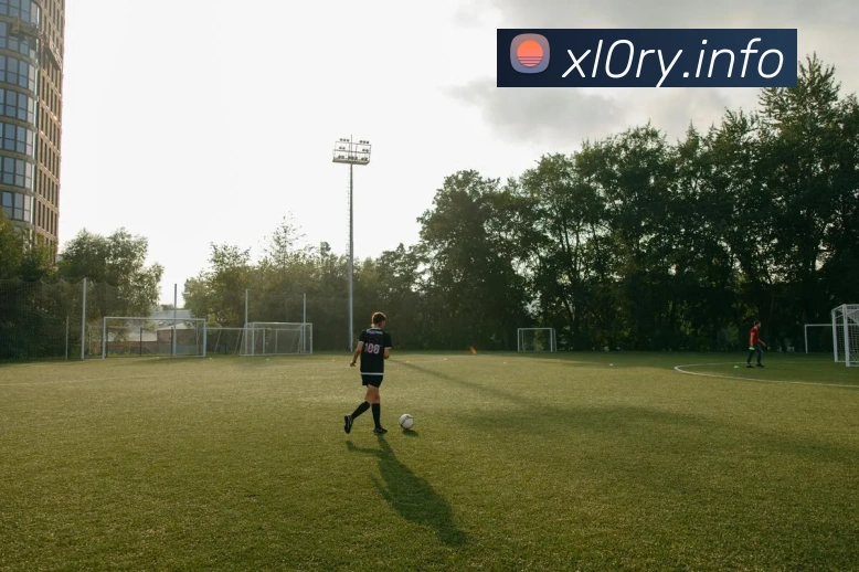 世界杯16强前瞻：球队战术、核心球员与晋级概率全解析