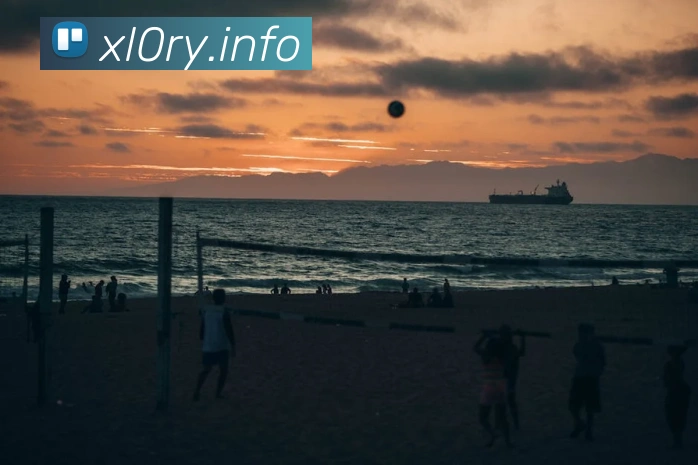 九游官方体育入口APP 封面图